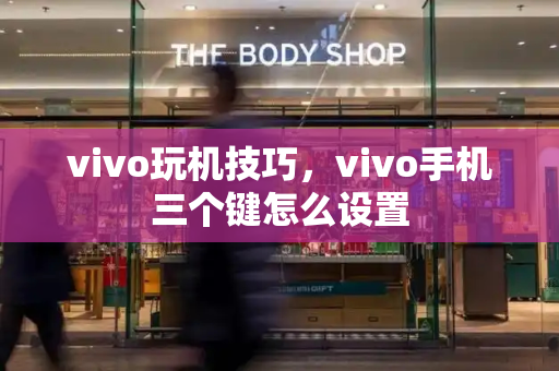 vivo玩机技巧，vivo手机三个键怎么设置-第1张图片-星选测评