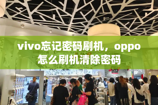 vivo忘记密码刷机，oppo怎么刷机清除密码