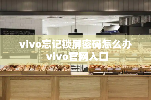 vivo忘记锁屏密码怎么办 vivo官网入口