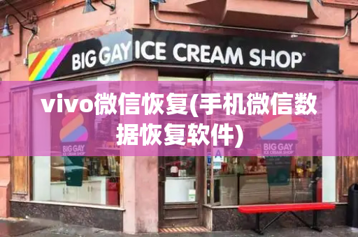 vivo微信恢复(手机微信数据恢复软件)