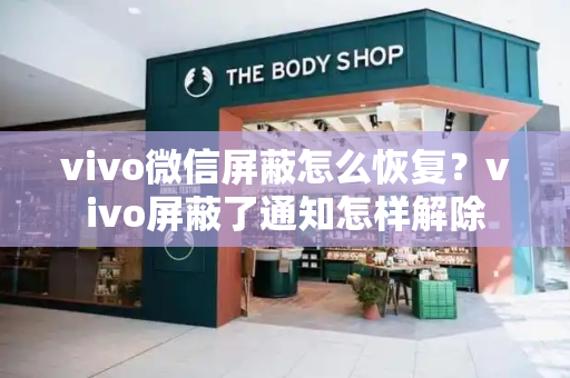 vivo微信屏蔽怎么恢复？vivo屏蔽了通知怎样解除-第1张图片-星选测评