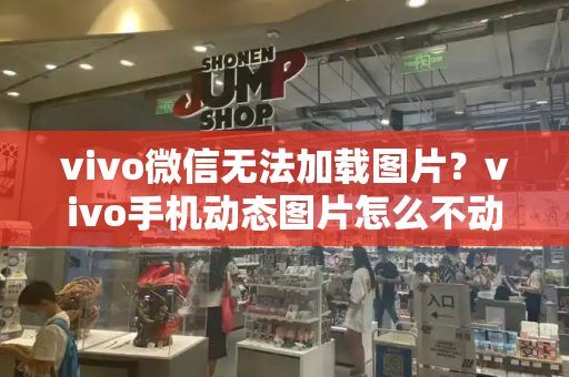vivo微信无法加载图片？vivo手机动态图片怎么不动-第1张图片-星选测评