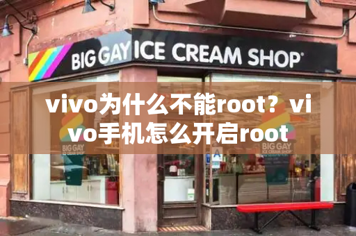 vivo为什么不能root？vivo手机怎么开启root-第1张图片-星选测评