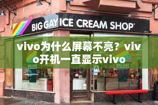 vivo为什么屏幕不亮？vivo开机一直显示vivo-第1张图片-星选测评