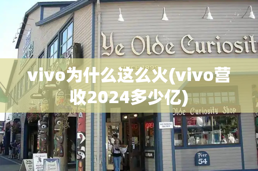 vivo为什么这么火(vivo营收2024多少亿)-第1张图片-星选测评