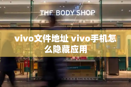 vivo文件地址 vivo手机怎么隐藏应用