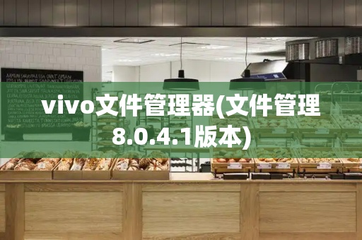 vivo文件管理器(文件管理8.0.4.1版本)