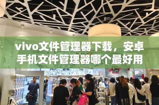 vivo文件管理器下载，安卓手机文件管理器哪个最好用