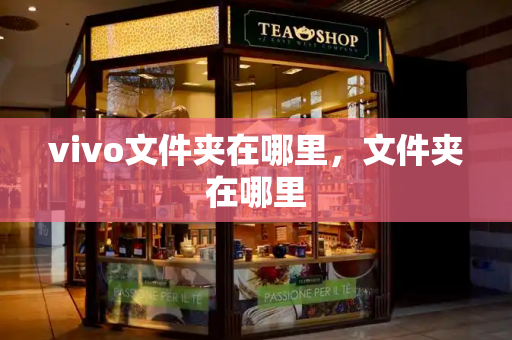 vivo文件夹在哪里，文件夹在哪里
