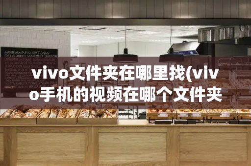 vivo文件夹在哪里找(vivo手机的视频在哪个文件夹)-第1张图片-星选测评