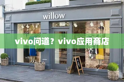 vivo问道？vivo应用商店