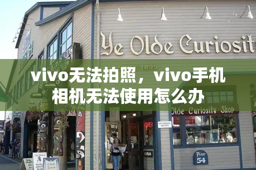 vivo无法拍照，vivo手机相机无法使用怎么办-第1张图片-星选测评