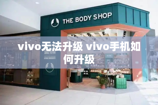 vivo无法升级 vivo手机如何升级