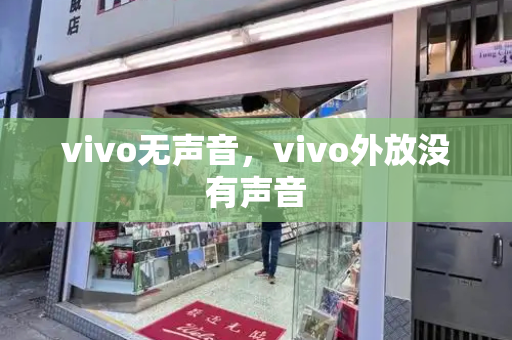 vivo无声音，vivo外放没有声音