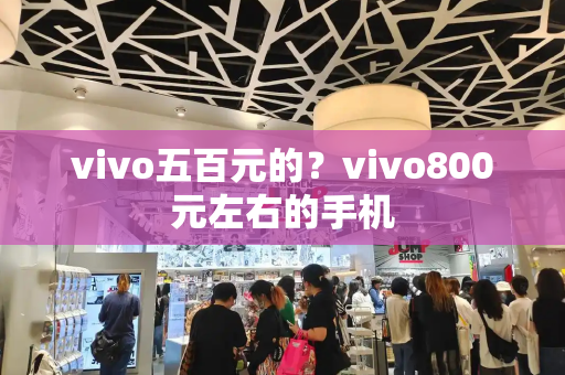 vivo五百元的？vivo800元左右的手机