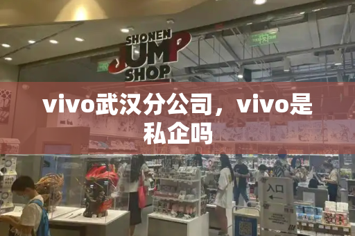 vivo武汉分公司，vivo是私企吗