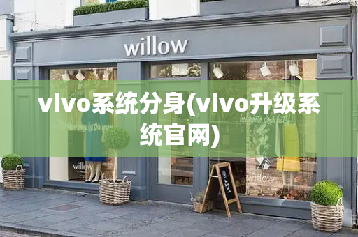 vivo系统分身(vivo升级系统官网)-第1张图片-星选测评