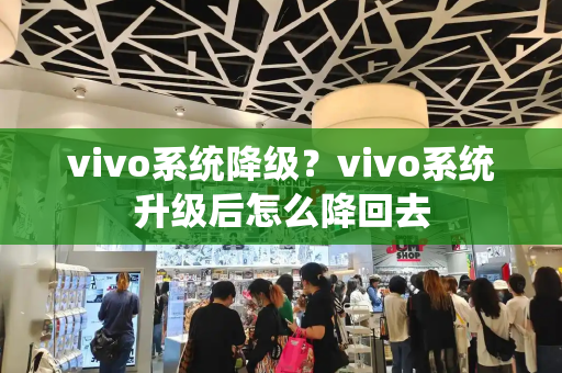vivo系统降级？vivo系统升级后怎么降回去