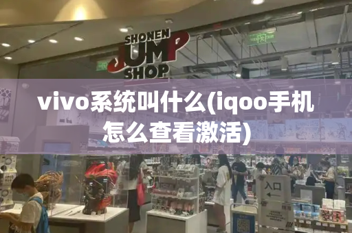 vivo系统叫什么(iqoo手机怎么查看激活)-第1张图片-星选测评