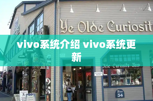 vivo系统介绍 vivo系统更新-第1张图片-星选测评