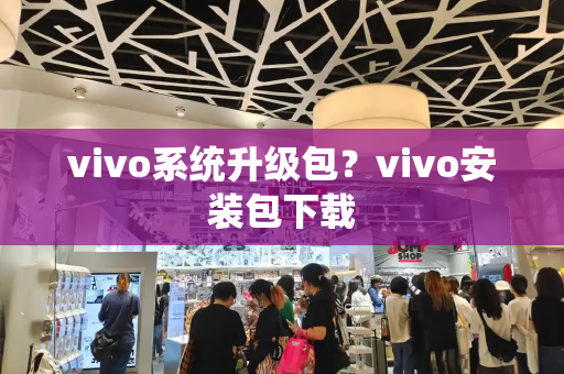 vivo系统升级包？vivo安装包下载