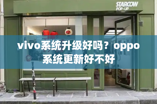 vivo系统升级好吗？oppo系统更新好不好-第1张图片-星选测评