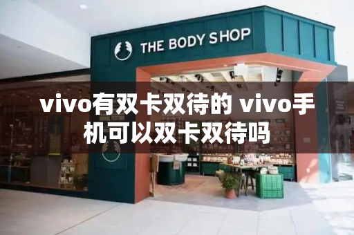 vivo有双卡双待的 vivo手机可以双卡双待吗-第1张图片-星选测评
