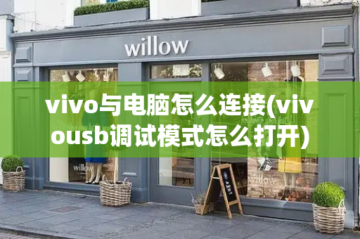 vivo与电脑怎么连接(vivousb调试模式怎么打开)