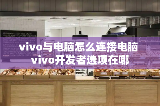 vivo与电脑怎么连接电脑 vivo开发者选项在哪