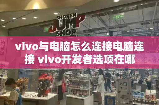 vivo与电脑怎么连接电脑连接 vivo开发者选项在哪
