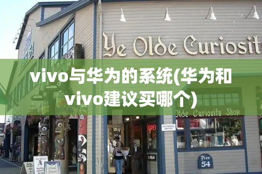 vivo与华为的系统(华为和vivo建议买哪个)-第1张图片-星选测评