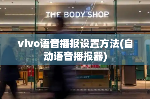 vivo语音播报设置方法(自动语音播报器)