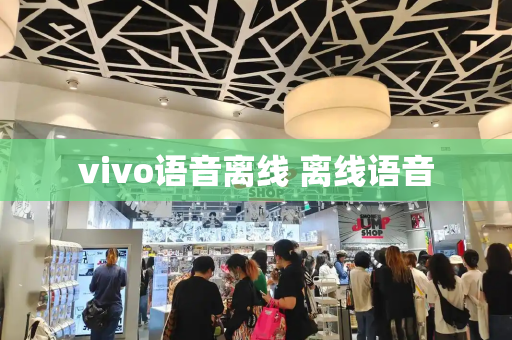 vivo语音离线 离线语音