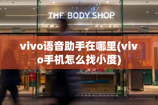 vivo语音助手在哪里(vivo手机怎么找小度)-第1张图片-星选测评