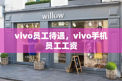 vivo员工待遇，vivo手机员工工资-第1张图片-星选测评