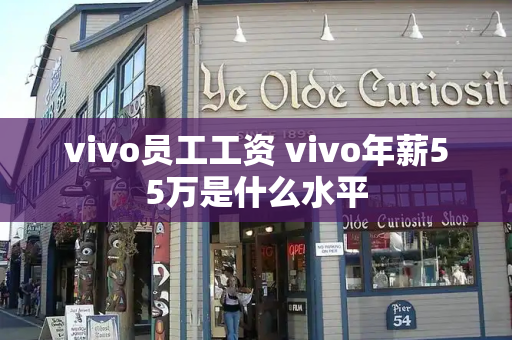 vivo员工工资 vivo年薪55万是什么水平-第1张图片-星选测评