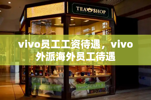 vivo员工工资待遇，vivo外派海外员工待遇-第1张图片-星选测评