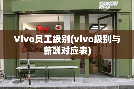 Vivo员工级别(vivo级别与薪酬对应表)