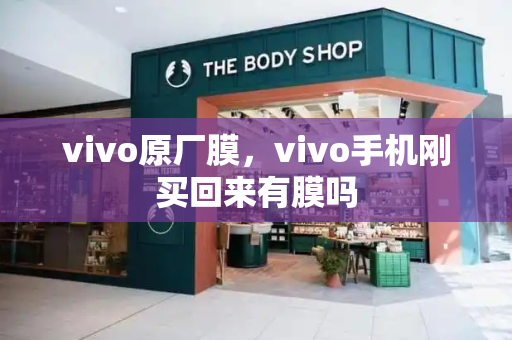 vivo原厂膜，vivo手机刚买回来有膜吗-第1张图片-星选测评