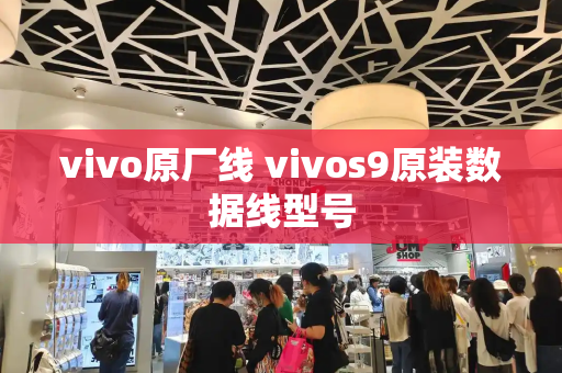 vivo原厂线 vivos9原装数据线型号