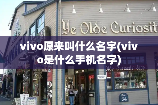 vivo原来叫什么名字(vivo是什么手机名字)-第1张图片-星选测评