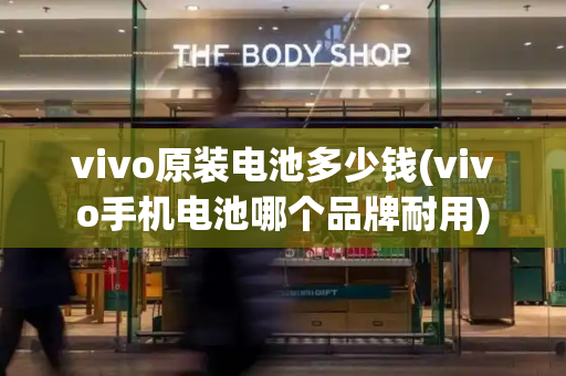 vivo原装电池多少钱(vivo手机电池哪个品牌耐用)