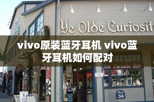 vivo原装蓝牙耳机 vivo蓝牙耳机如何配对-第1张图片-星选测评