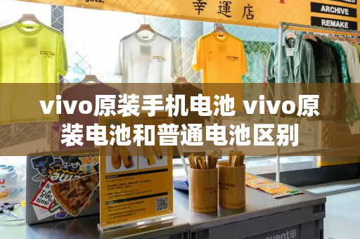 vivo原装手机电池 vivo原装电池和普通电池区别-第1张图片-星选测评