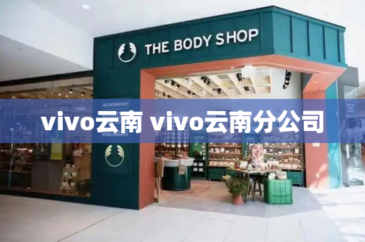 vivo云南 vivo云南分公司