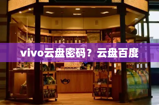 vivo云盘密码？云盘百度