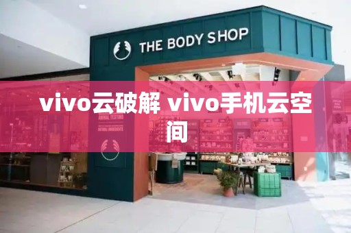 vivo云破解 vivo手机云空间-第1张图片-星选测评