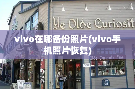 vivo在哪备份照片(vivo手机照片恢复)-第1张图片-星选测评