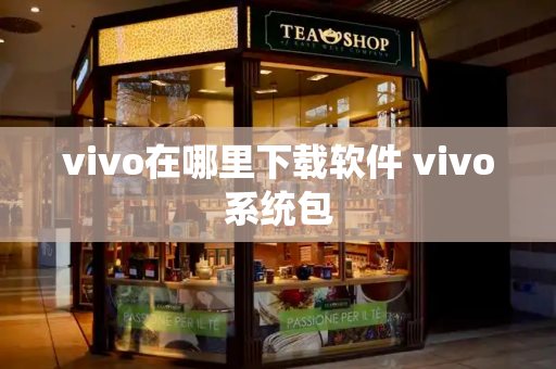 vivo在哪里下载软件 vivo系统包