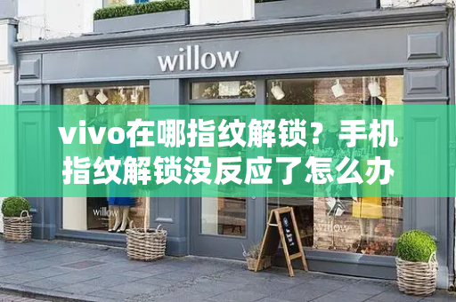 vivo在哪指纹解锁？手机指纹解锁没反应了怎么办-第1张图片-星选测评